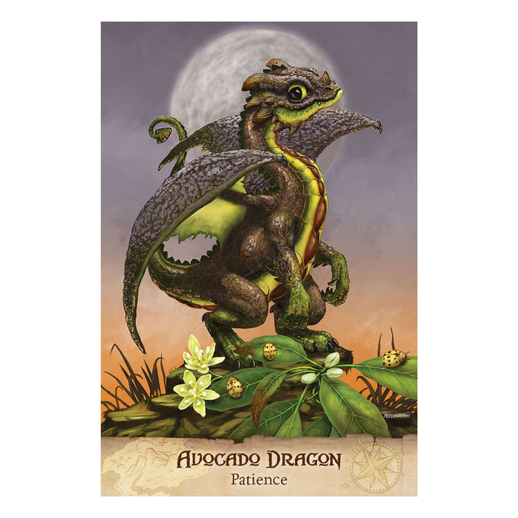 Field Guide to Garden Dragons