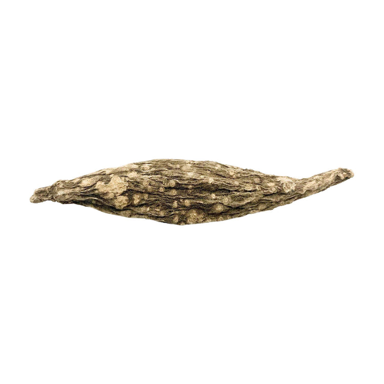 High John the Conqueror Root