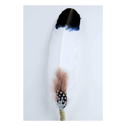 Smudging Feather - Ancestry - Brown