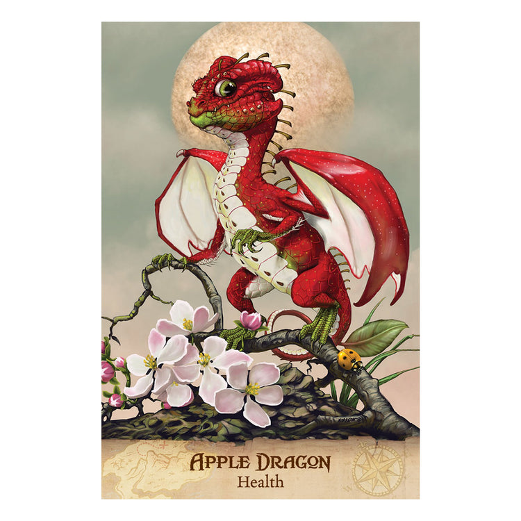 Field Guide to Garden Dragons